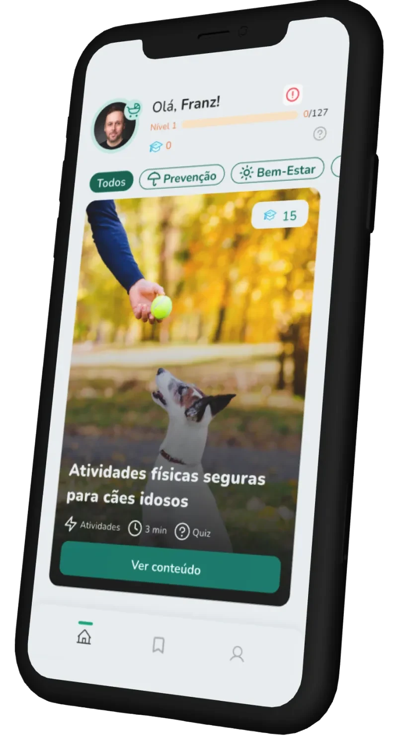 Tela inicial do app Yolki Pet com conteúdo de atividades