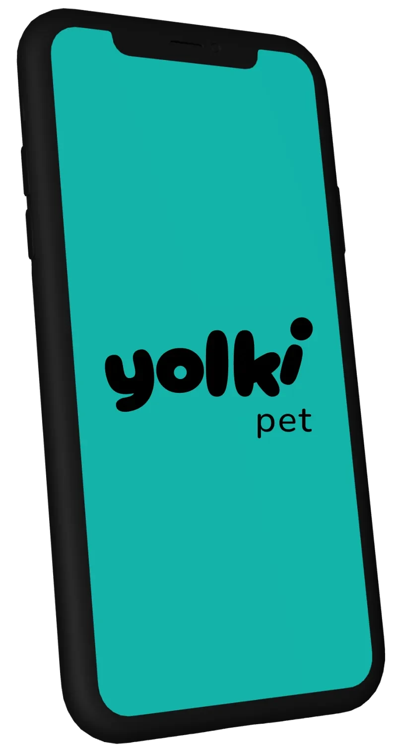 Tela de abertura do app Yolki Pet
